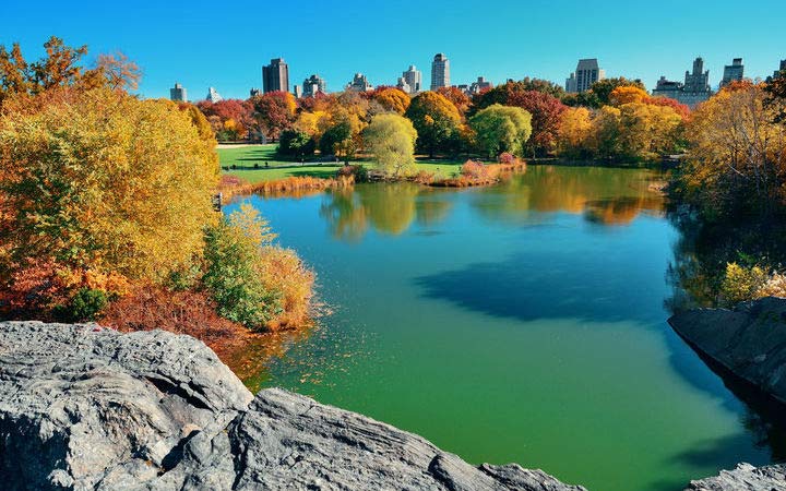 Escala /imagenes/es/escalas/escala,Nueva York-_720x450,US,NYC,44981.jpg